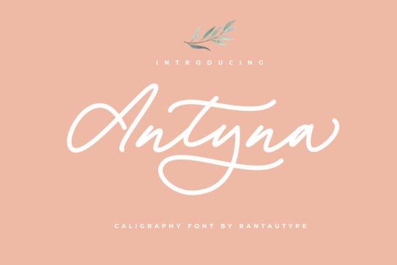 Antyna: A Font That Elevates Design