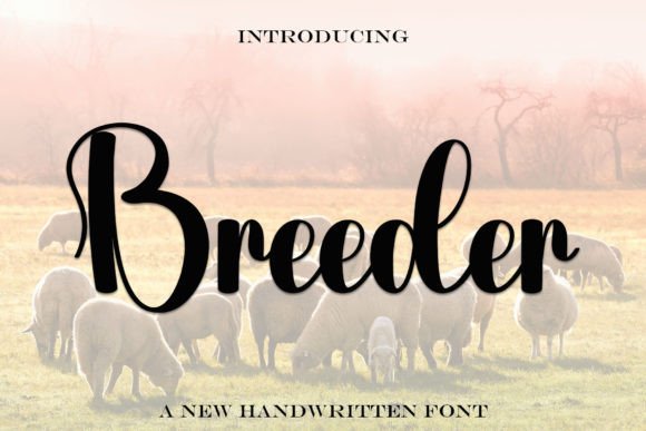 Discover the Beauty of Breeder: A Handwritten Font with Timeless Elegance